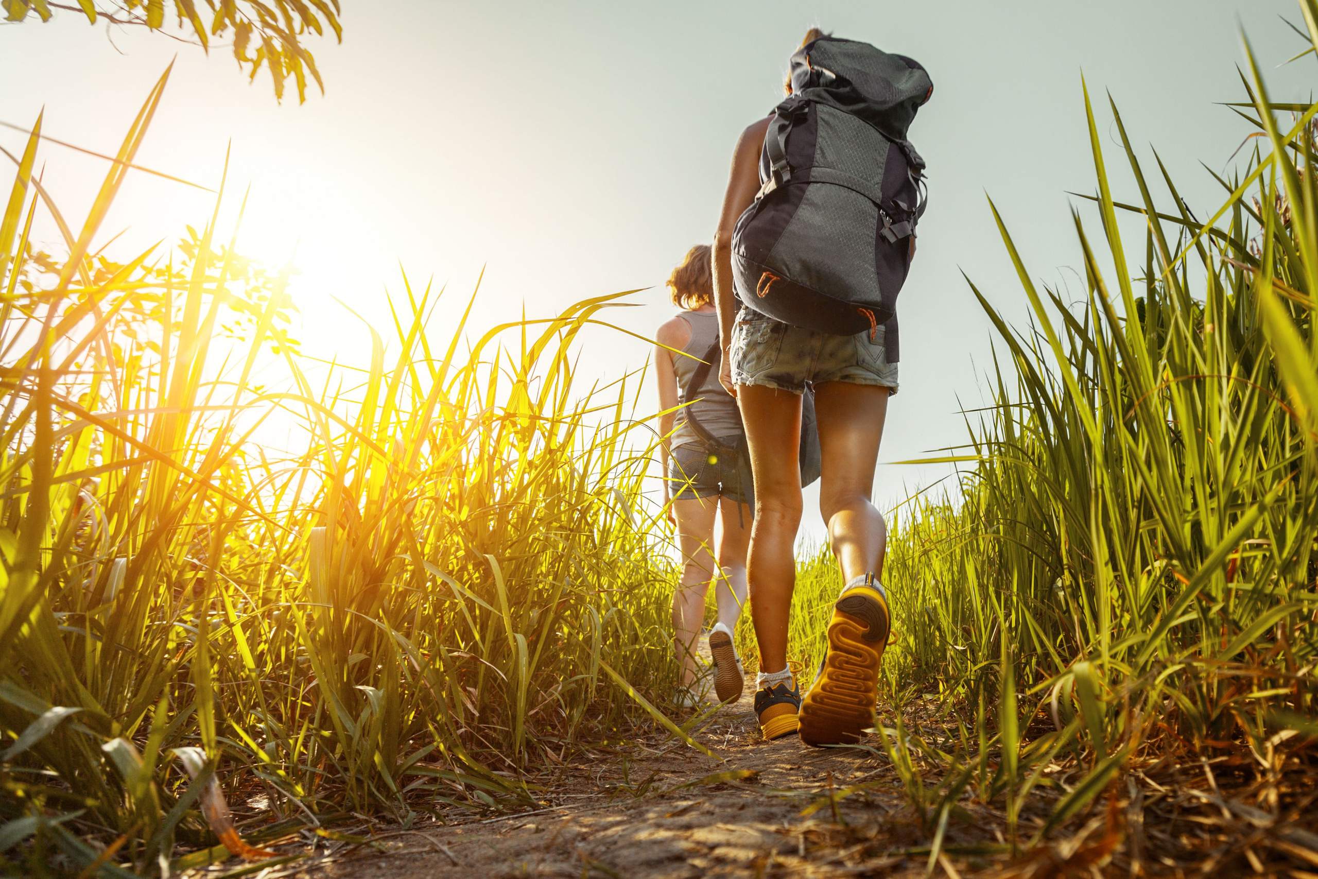 Wandern im Jura